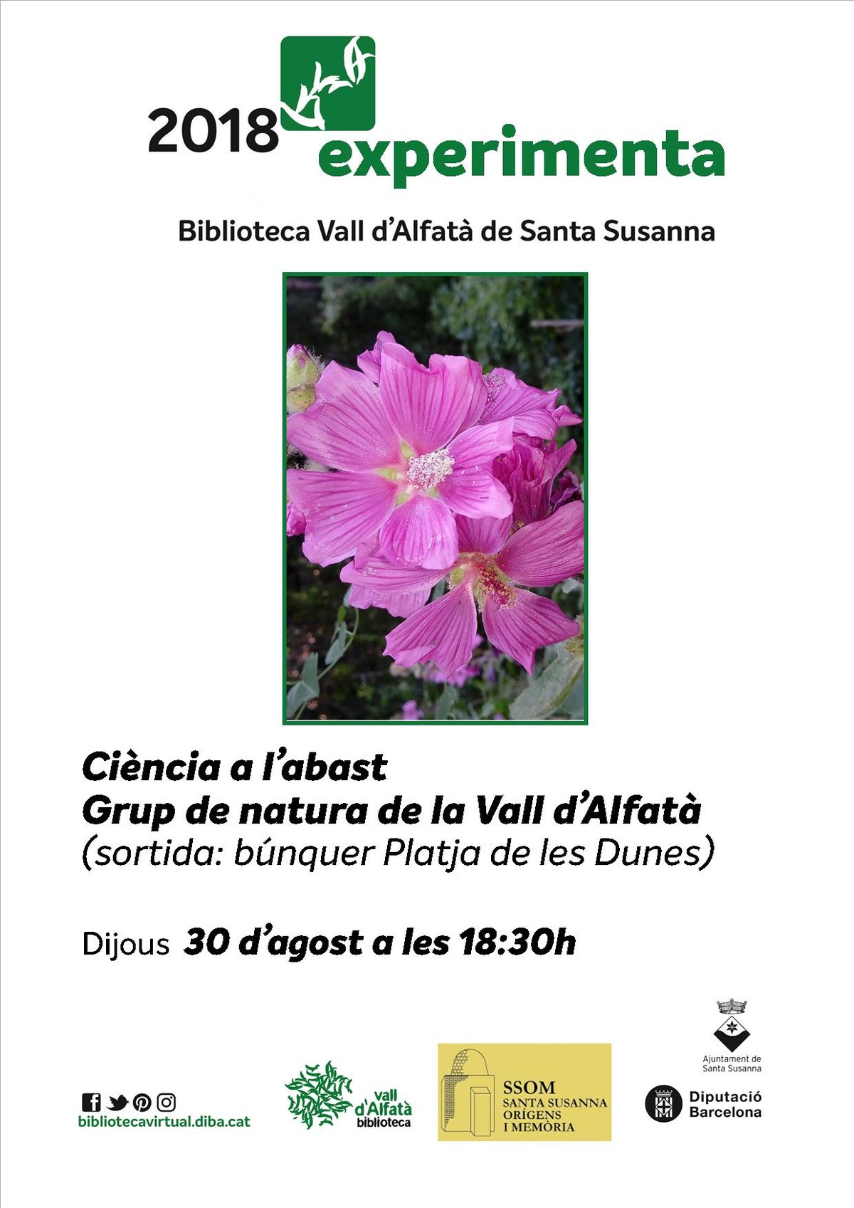 Ciència a l'abast.