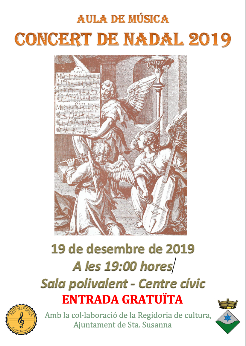 Concert de Nadal de l'Aula de Música.