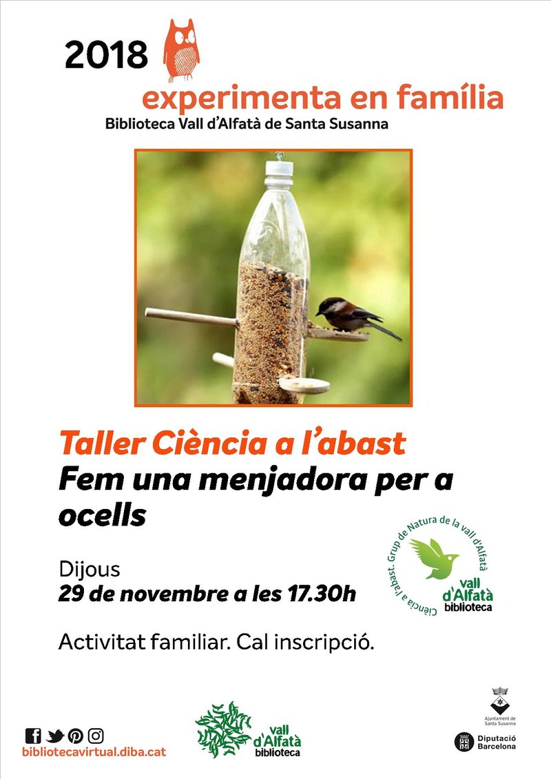 taller_menjadora_per_a_ocells.jpg