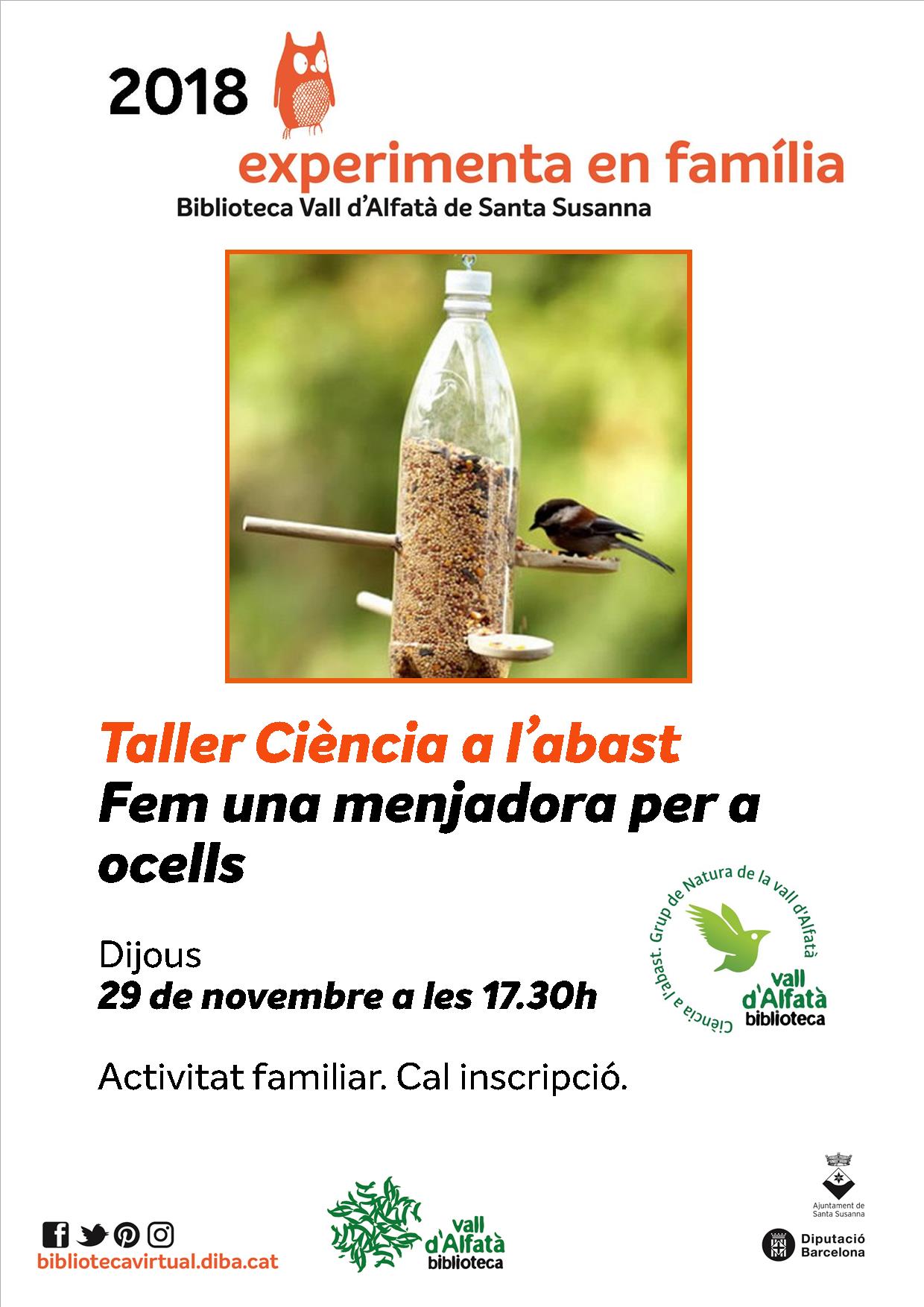 taller_menjadora_per_a_ocells.jpg