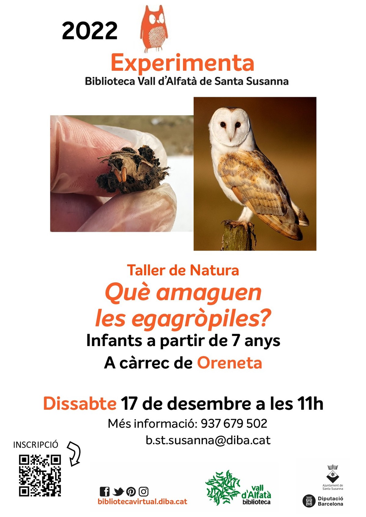 Experimenta: "Taller de Natura: Què amaguen les egagròpile?".