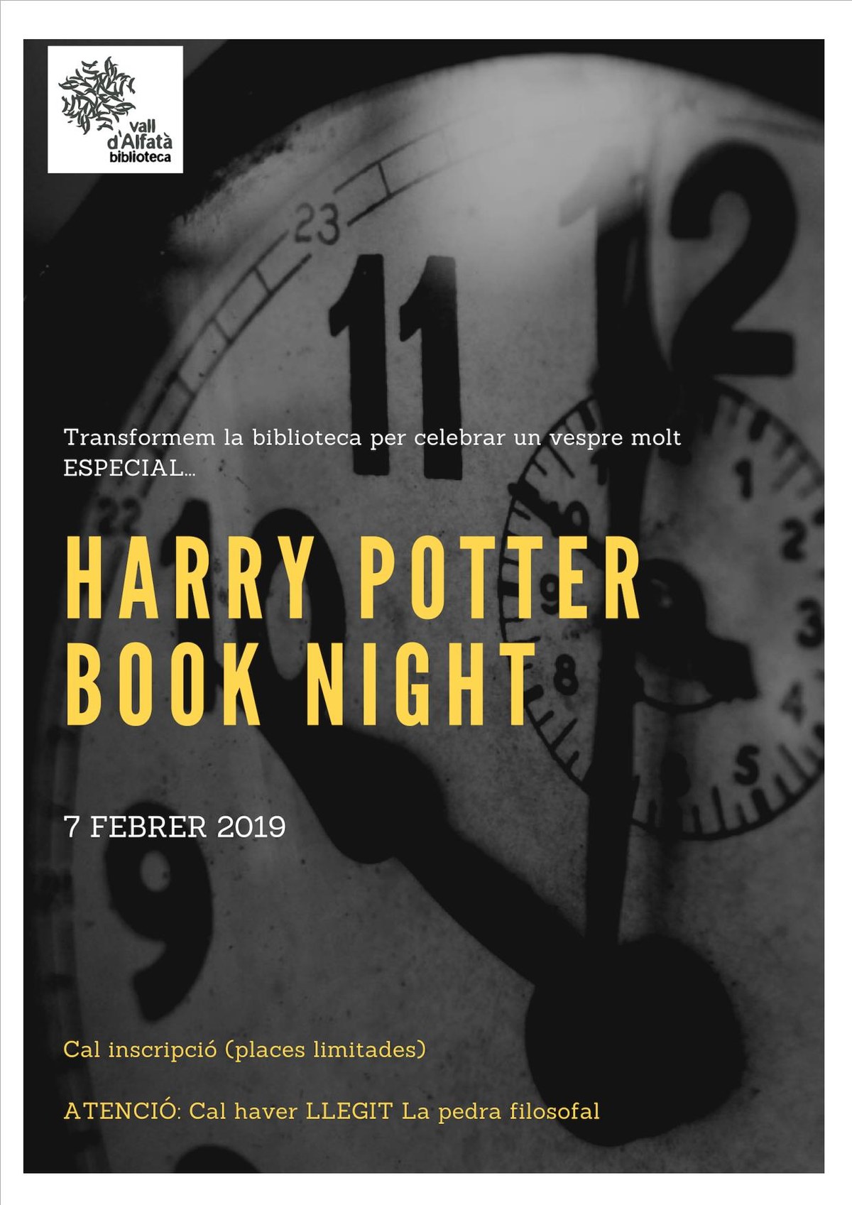 Harry Potter Book Night .
