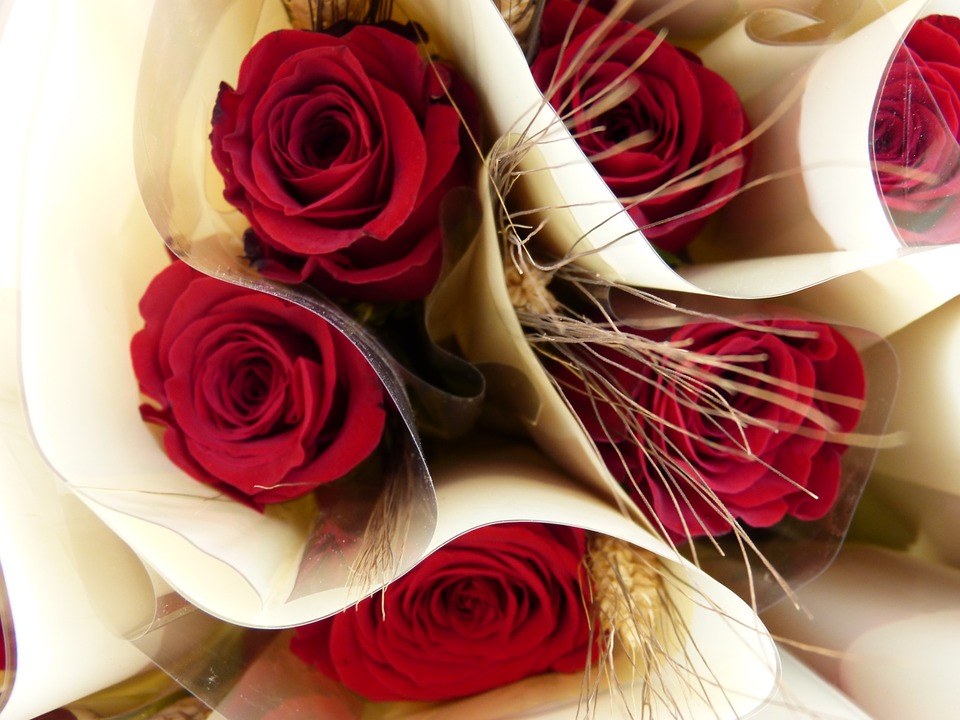 Sant Jordi Santa Susanna 2019.