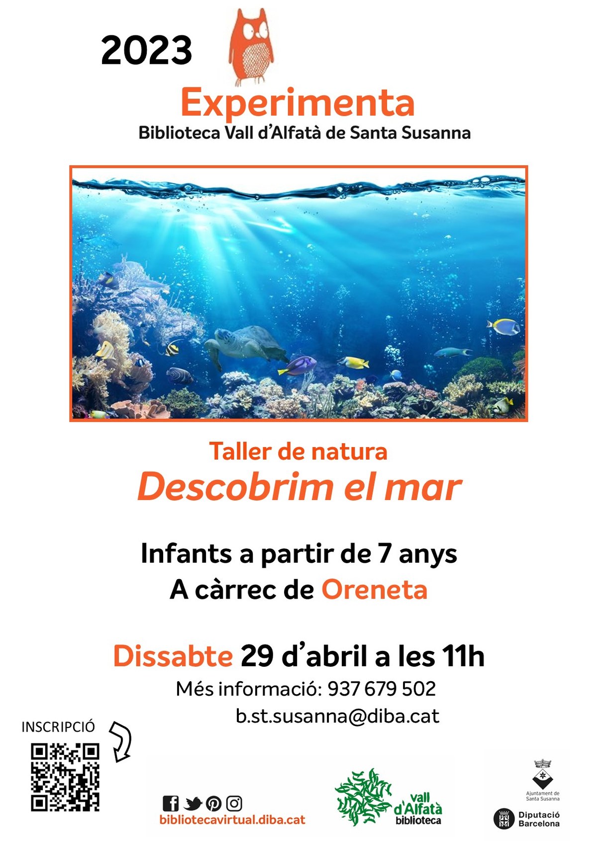 Taller de natura: Descobrim el mar.