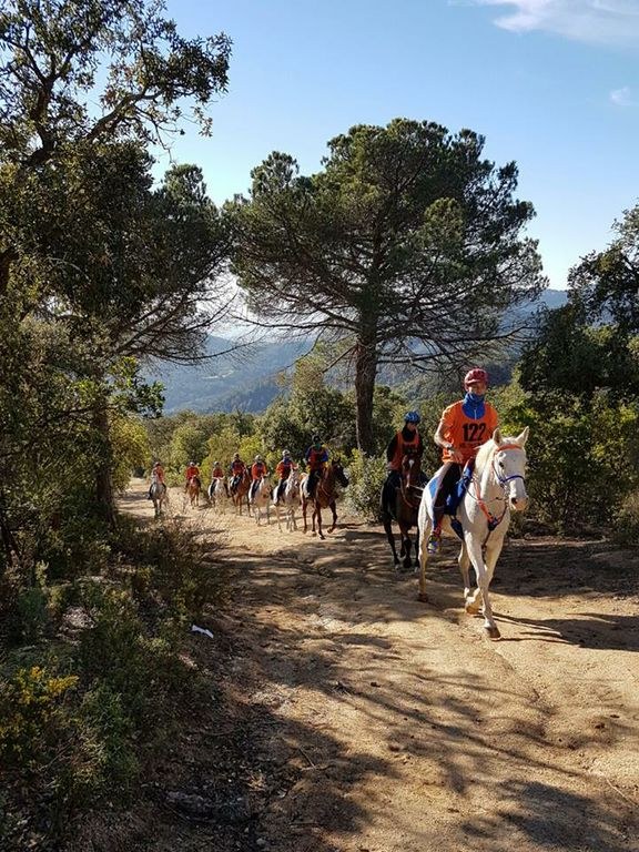  La 64'edició del Raid Hípic Internacional de Barcelona se celebrarà a Santa Susanna el 7, 8 i 9 de desembre         .
