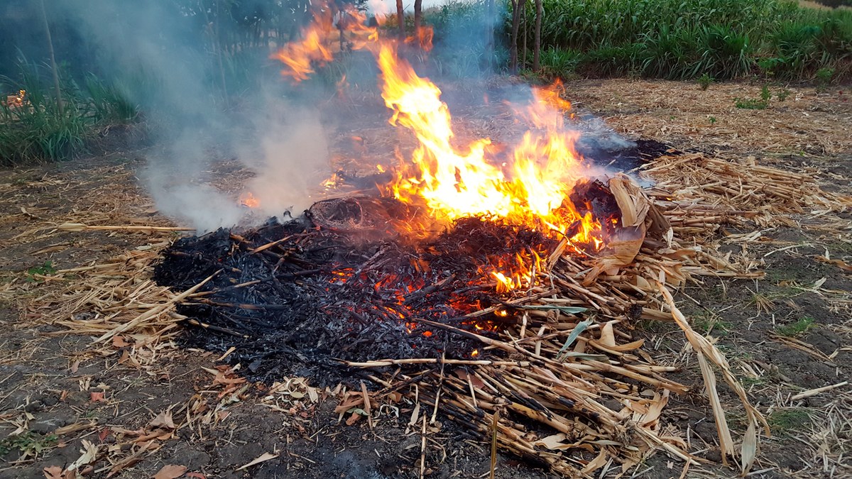 Activada una via per demanar permís per a la crema de restes agrícoles.