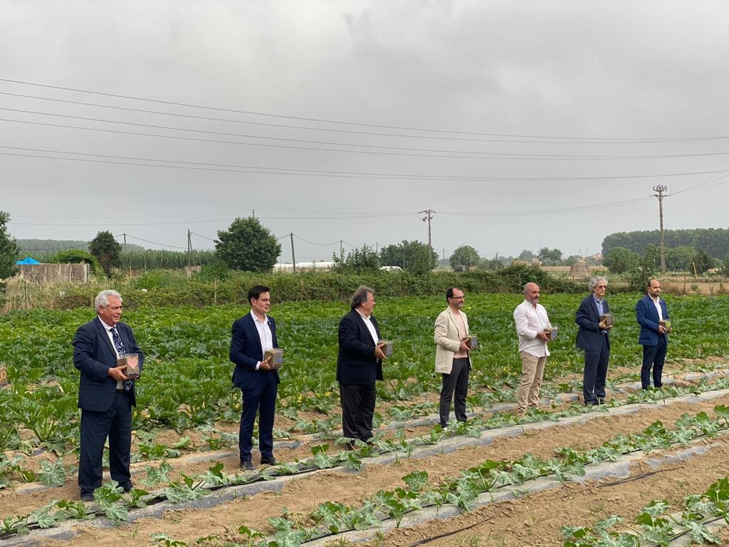 Ajuntaments, Diputació i sector s'uneixen per protegir el territori i impulsar la producció agrària.