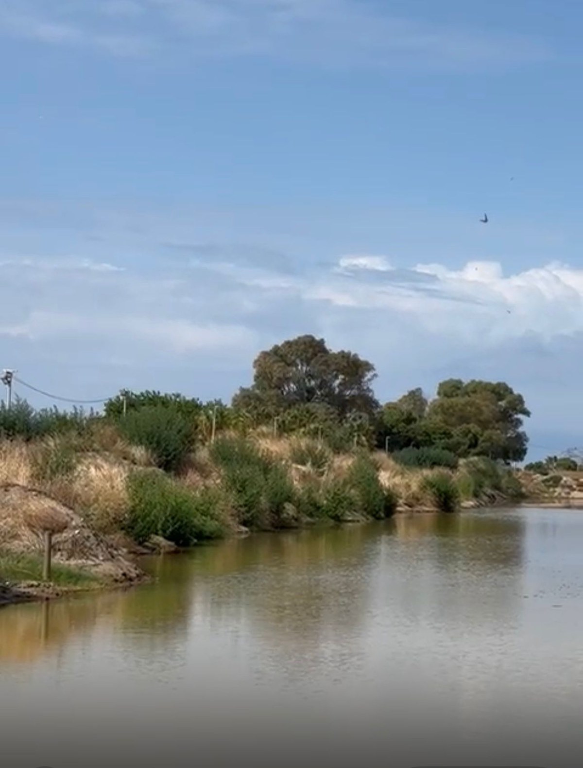 Diferències entre l’Ajuntament de Santa Susanna i l’ACA sobre si tota l’aigua procedent de les obres del pas sota la via del tren es pot injectar al subsol.