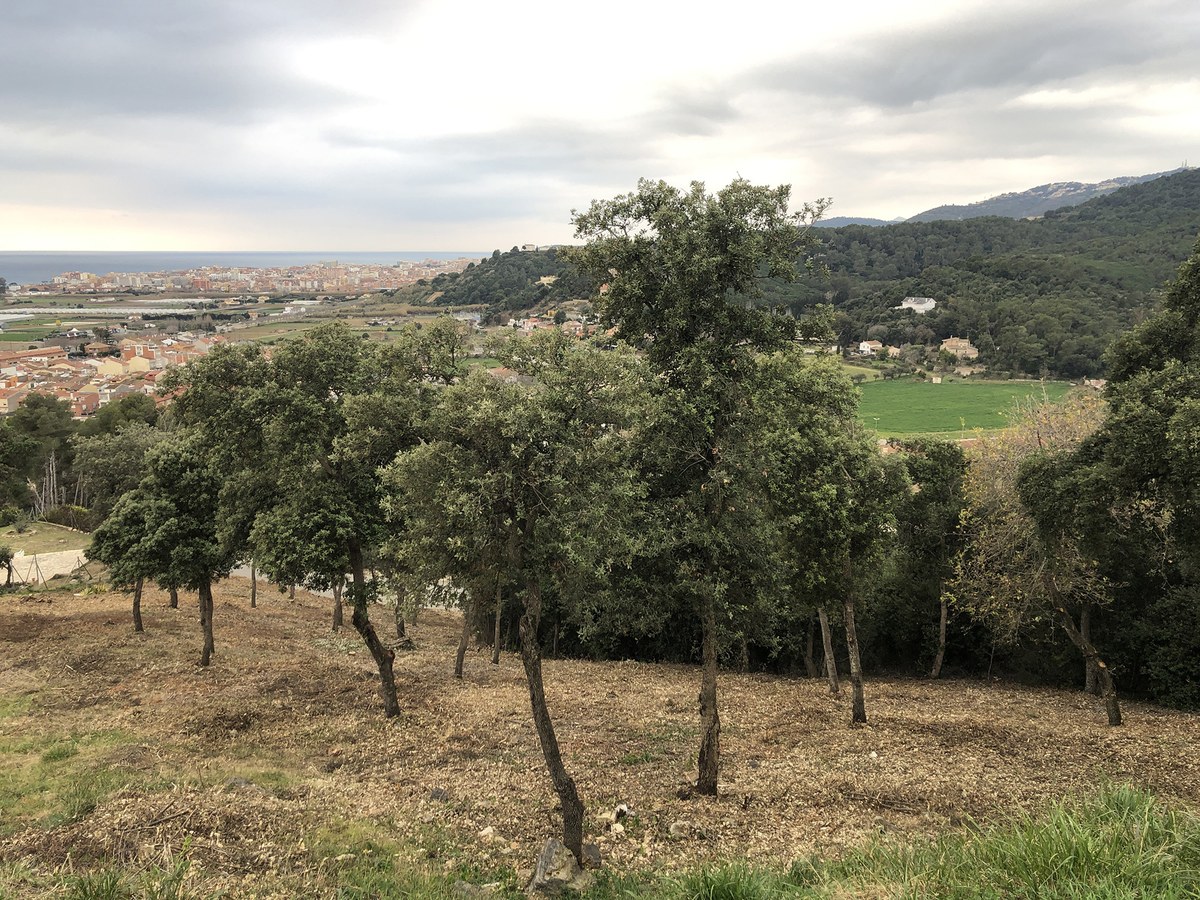 El 2021 s'han fet les franges de prevenció d'incendis a Can Gelat, Can Torrent i Can Batlle.