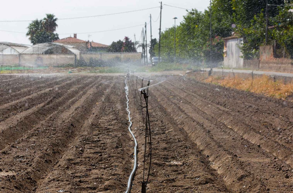 Impuls a l'Espai Agrari de la Baixa Tordera com a eina per garantir el futur del sector.