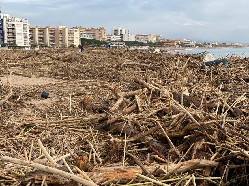 La neteja de la platja començarà dilluns i durarà uns 15 dies.