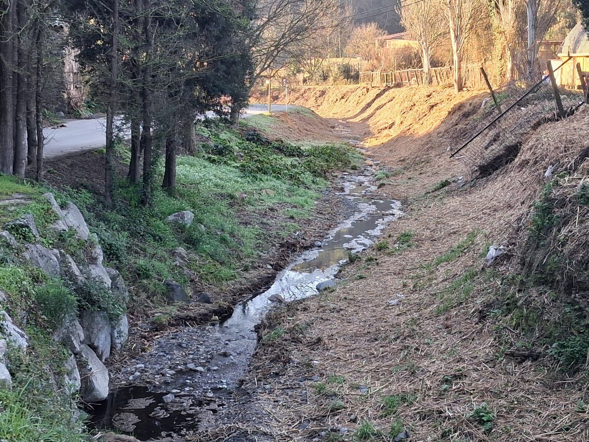 L’Ajuntament neteja el tram no urbà de la riera de Santa Susanna per reduir el risc d’inundacions.