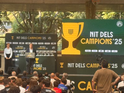 Nit dels campions