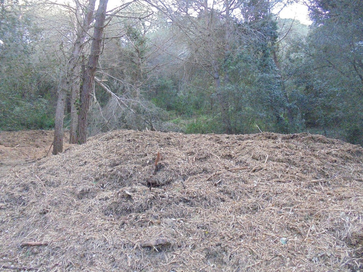 Santa Susanna converteix les restes de la poda de l'arbrat en compost per a la terra.