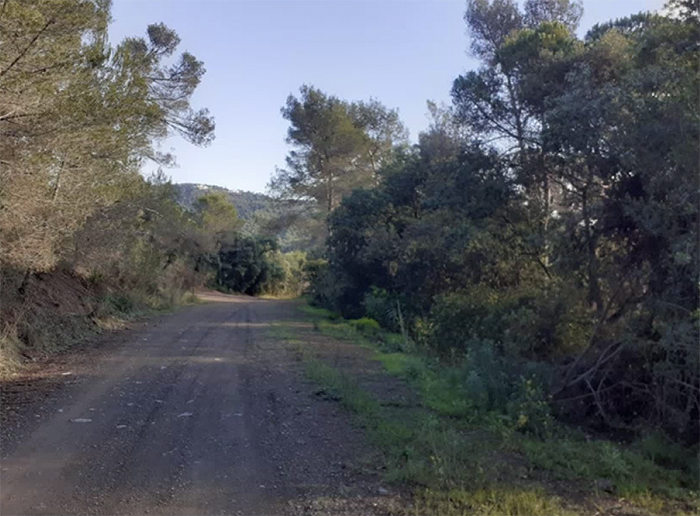 Santa Susanna ha arranjat gairebé 5 km de camins forestals durant l'any 2021.