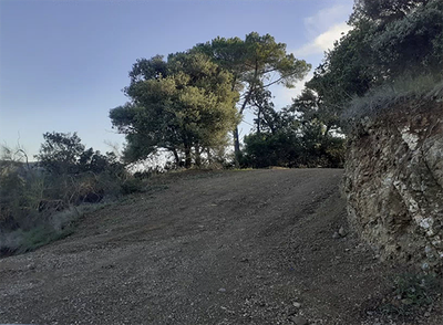 Arranjament_camins_2021_2.png