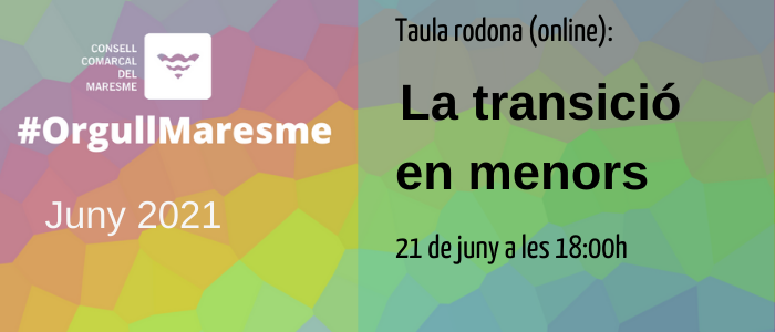 Taula rodona sobre el procés de transició sexual i de gènere en menors.