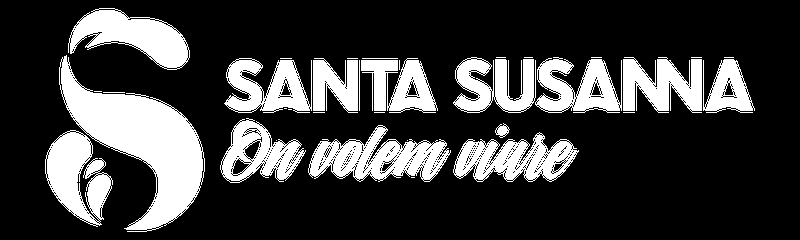 Logo_SS_H_claim_blanc.png