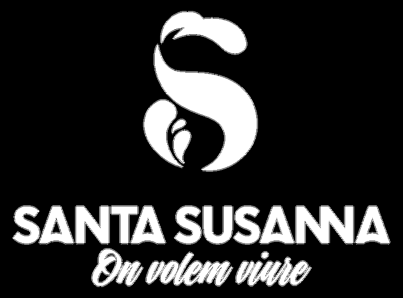 Logo_SS_V_claim_blanc.png