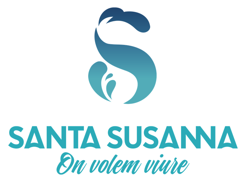 Logo_SS_V_claim_color.png