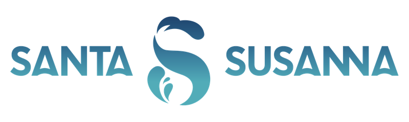 Logo_SS_1linia_H_color.png