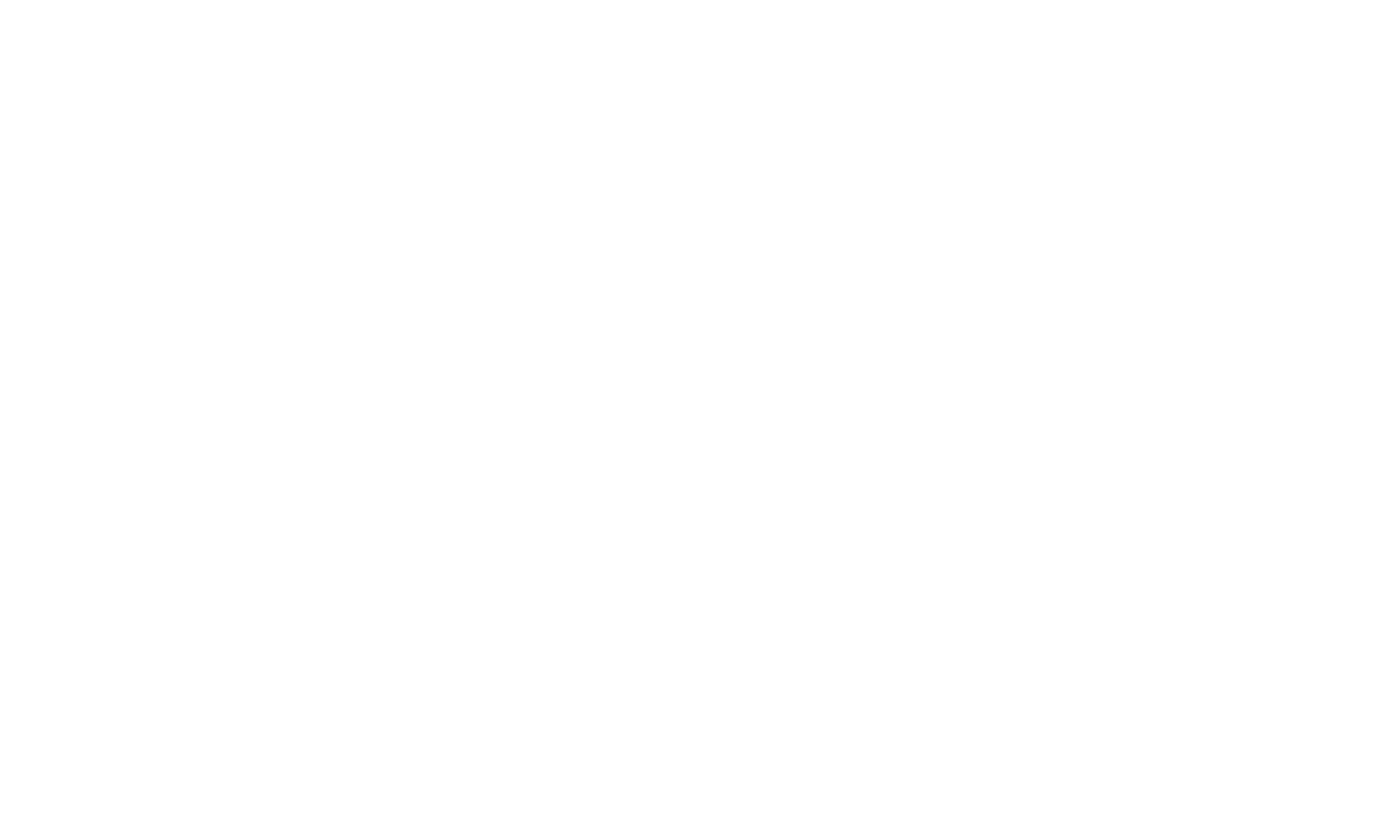 Logo_SS_1linia_V_blanc.png