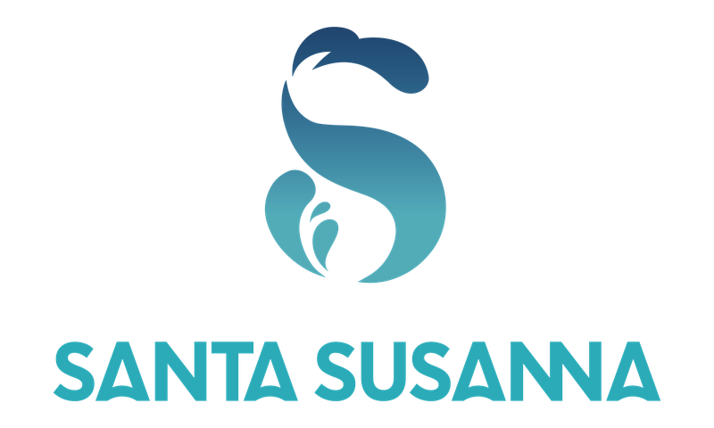 Logo_SS_1linia_V_color.png