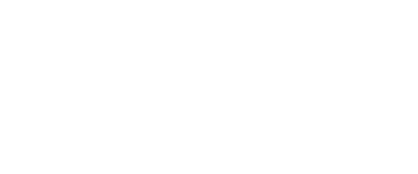 Logo_SS_2linies_H_blanc.png