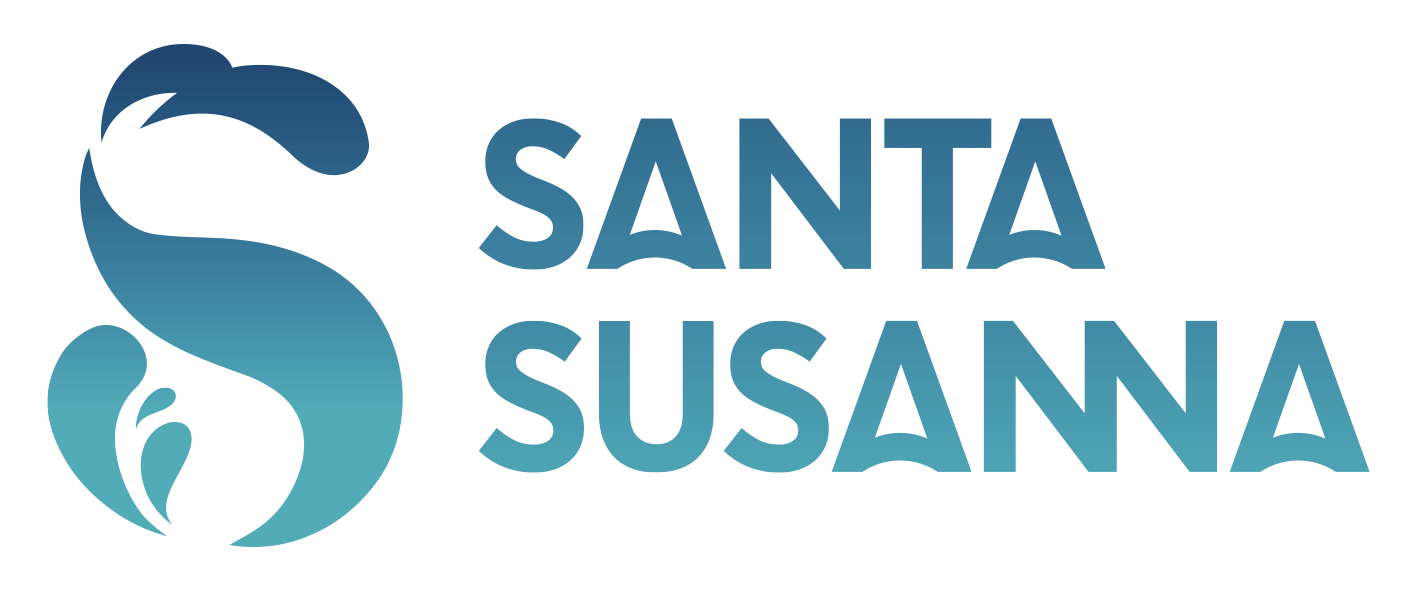 Logo_SS_2linies_H_color.png