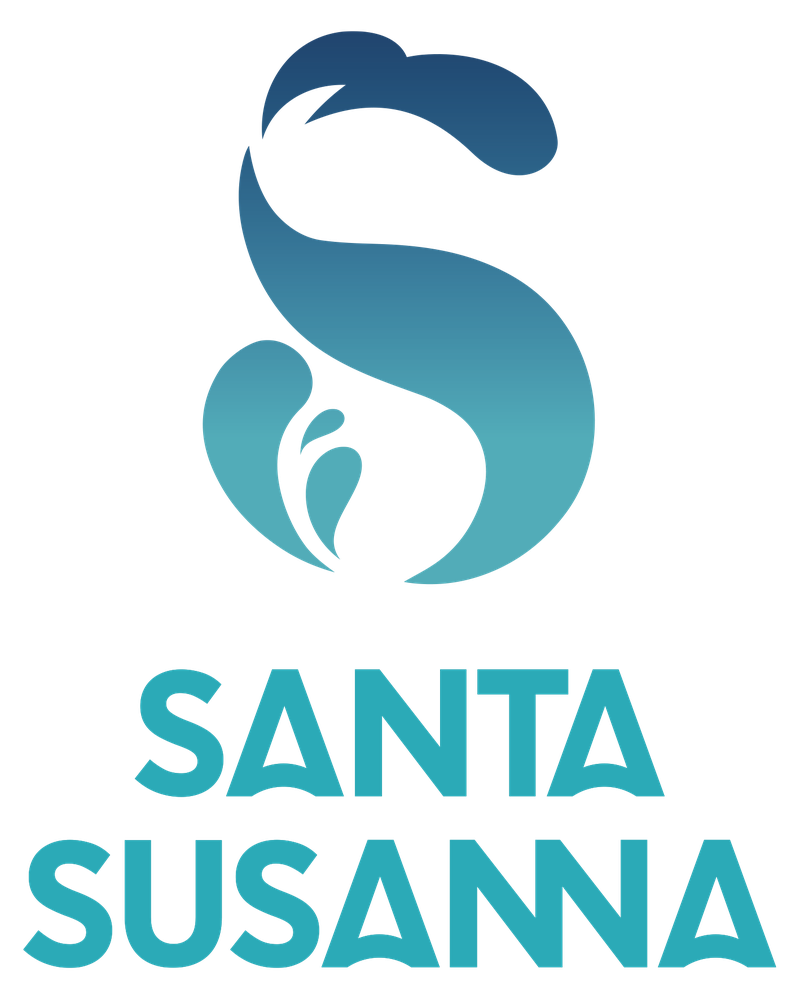 Logo_SS_2linies_V_color.png