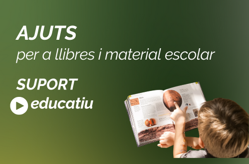 Consulta els ajuts a famílies