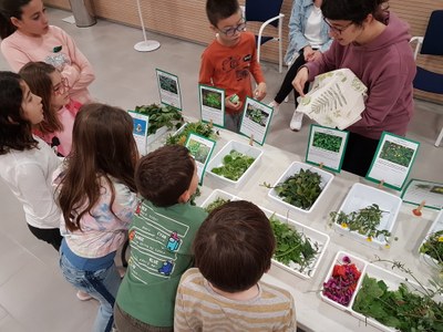 Experimenta amb la natura