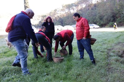 Imatges de la Festa del Bolet