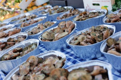 Imatges de la Festa del Bolet
