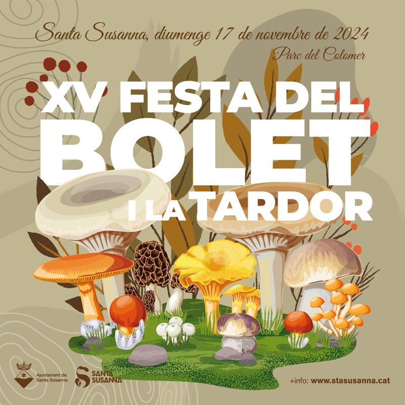Cartell de la XV edició de la Festa del Bolet