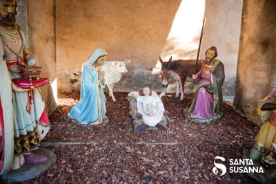 Activitats organitzades durant la Fira de Nadal
