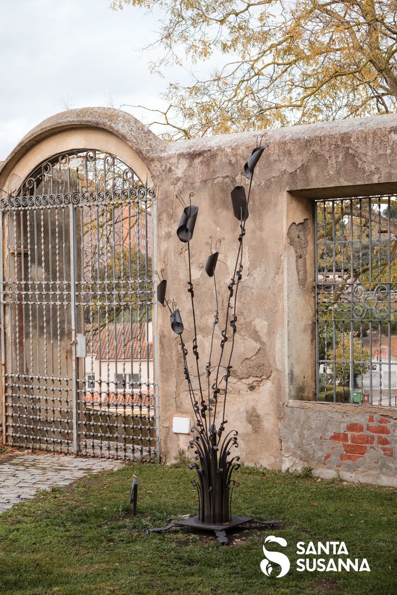 Denthaus omnívora amb pedincles oberts