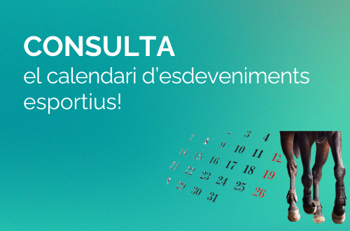 Consulta el calendari de grans esdeveniments esportius