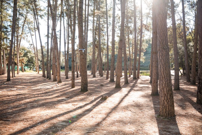 Zona d'esbarjo Lillota