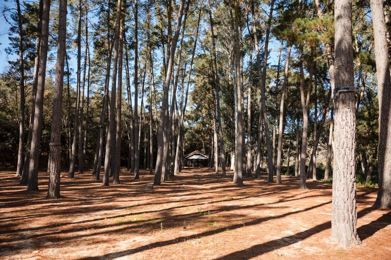 Zona d'esbarjo Lillota