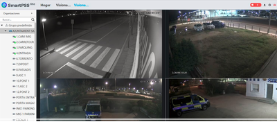 Plataforma smart seguretat