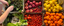 Banners