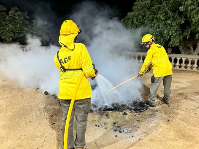 L'ADF sufocant un foc