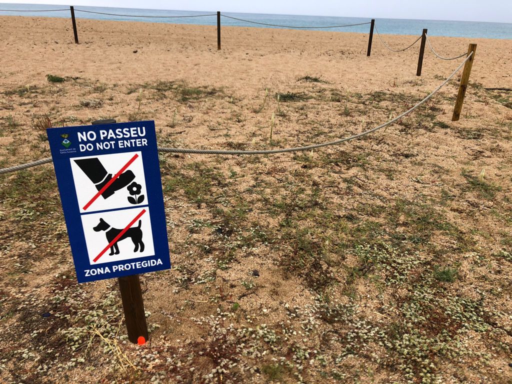 Santa Susanna ha reforçat la protecció perimetral del capironat marí